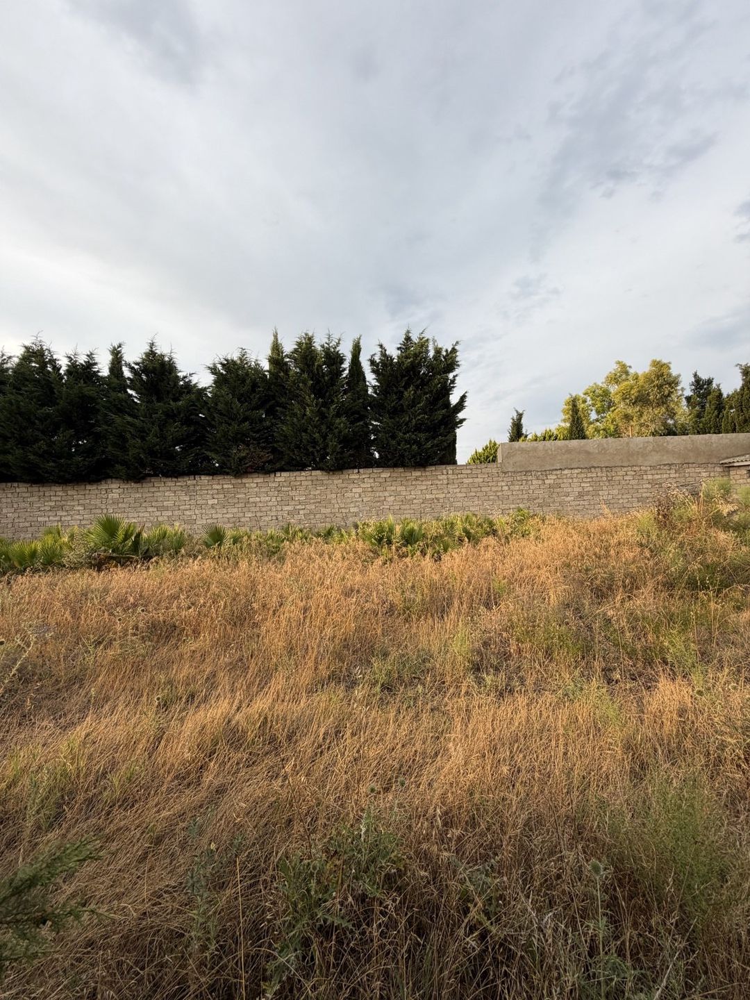 Satılır torpaq 7 sot — Torpaq, Bakı (7)
