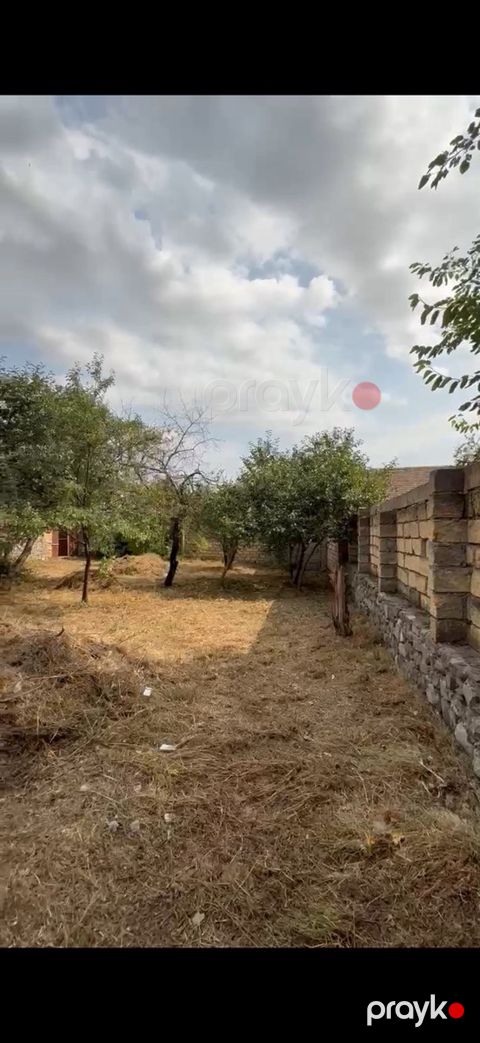 4 sot torpaq sahəsi, Şəki r