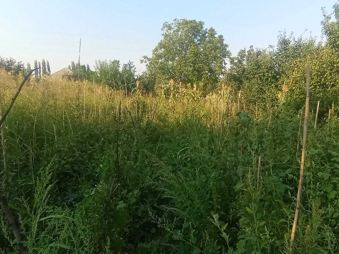 12 sot torpaq sahəsi, Tovuz r — Torpaq, Tovuz (3)