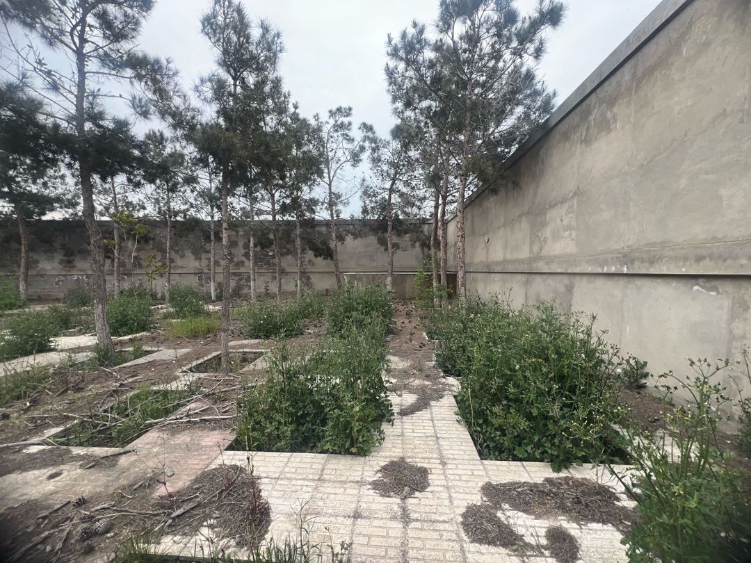 Satılır torpaq 20 sot — Torpaq, Bakı (4)