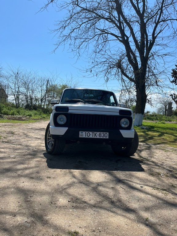Lada (VAZ) Niva, 1.7 L, 2015 il, 156 000 km — Avtomobillər, Masallı (4)