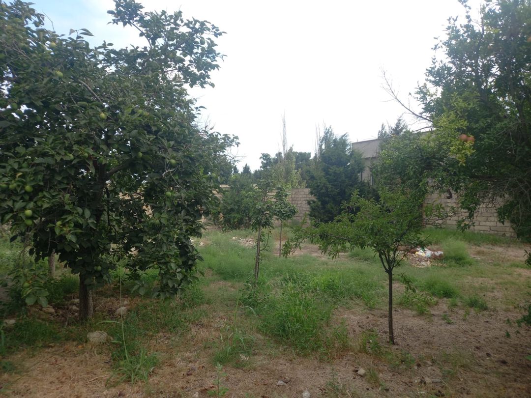 6 sot torpaq sahəsi, Görədil qəs — Torpaq, Bakı