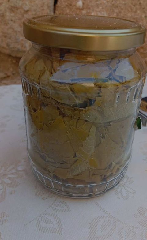 Şüşə bankada duzlu üzüm yarpağı - Məhsul: Dolma üçün duzlu üzüm — Digah