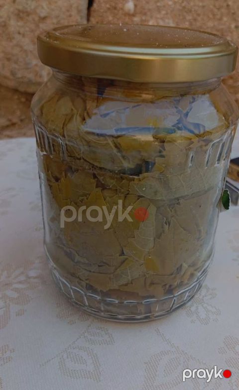 Şüşə bankada duzlu üzüm yarpağı - Məhsul: Dolma üçün duzlu üzüm — Digah