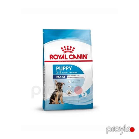 "Royal Canin Maxi Puppy" itlər üçün quru yem — Bakı