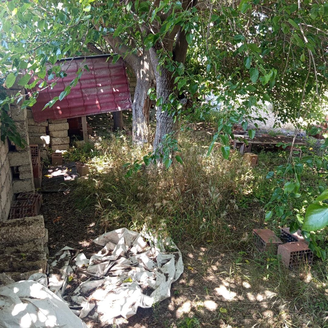 5 sot torpaq sahəsi, Əmircan qəs — Torpaq, Bakı (5)