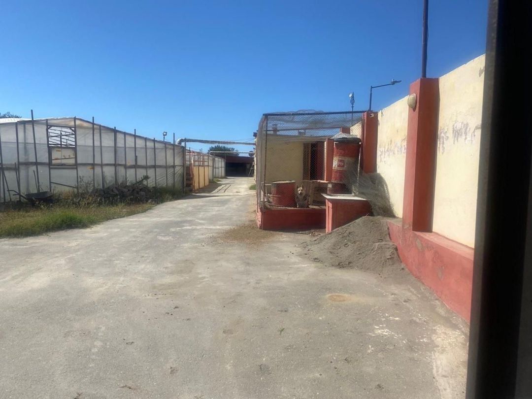 Satılır 5 otaqlı həyət evi/bağ evi 60 m² — Ev, villa, Bakı (6)