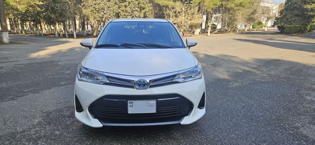 "Toyota Filder" icarəsi — Xidmətlər, Bakı (4)