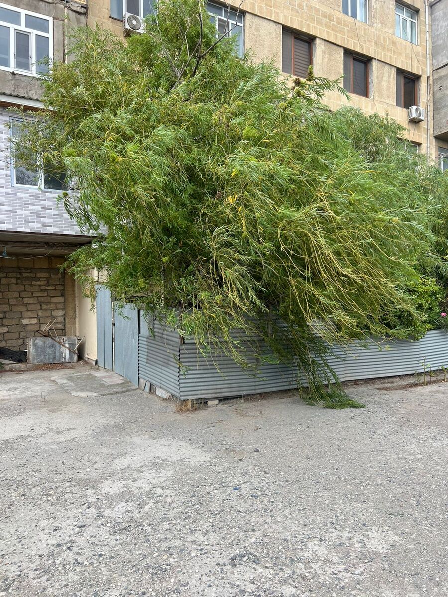 İcarəyə verilir 2 otaqlı köhnə tikili 55 m² — Mənzil, Bakı (2)