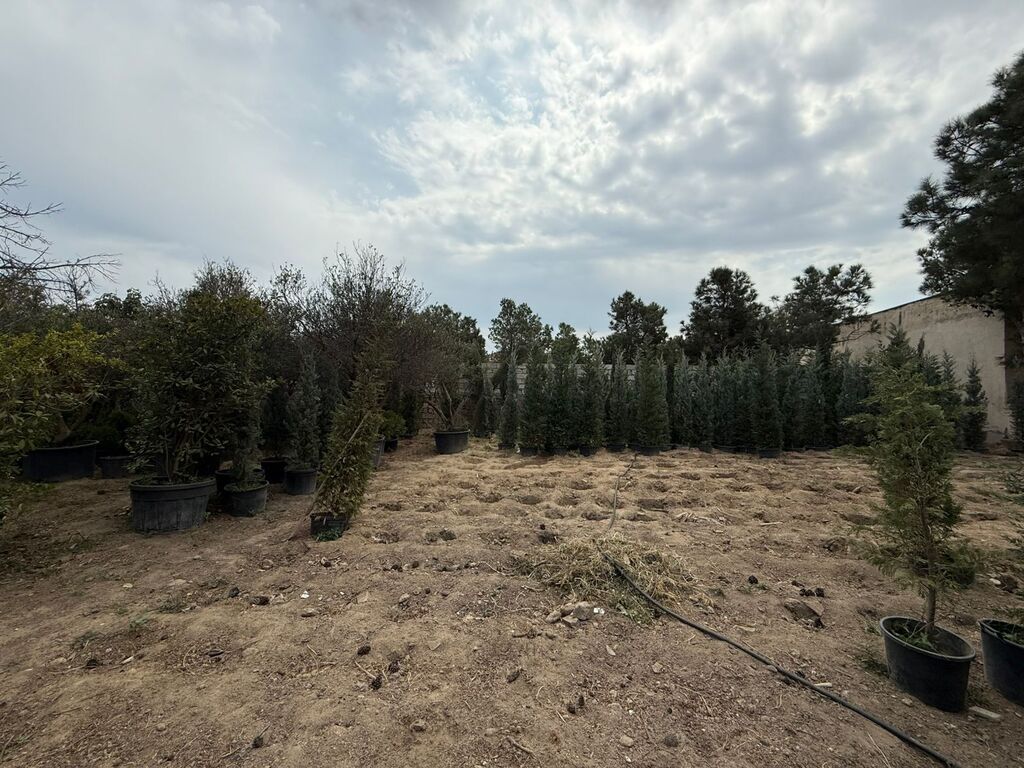 15.3 sot torpaq sahəsi, Buzovna qəs — Torpaq, Bakı (8)