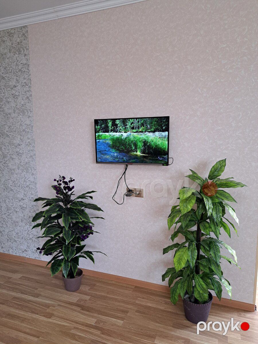 Həyət evi kirayə verilir, İsmayıllı r — Ev, villa, İsmayıllı (11)