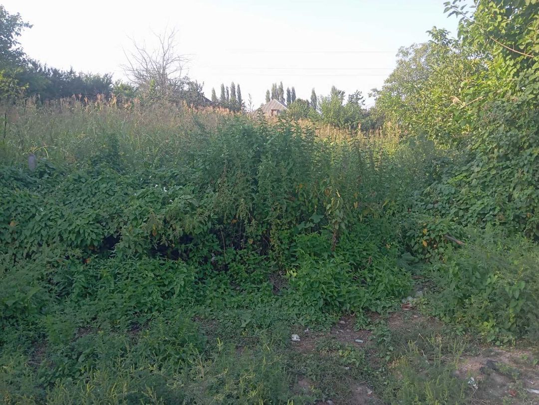 12 sot torpaq sahəsi, Tovuz r — Torpaq, Tovuz (2)