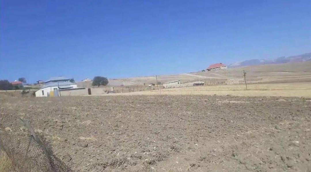 12 sot torpaq sahəsi, Şamaxı ş — Torpaq, Şamaxı (3)