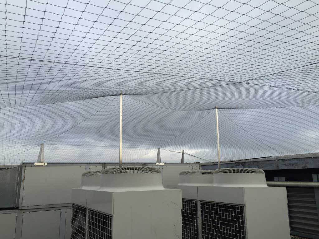 Stadionun tavan toru — İdman, hobi, istirahət, Bakı (3)