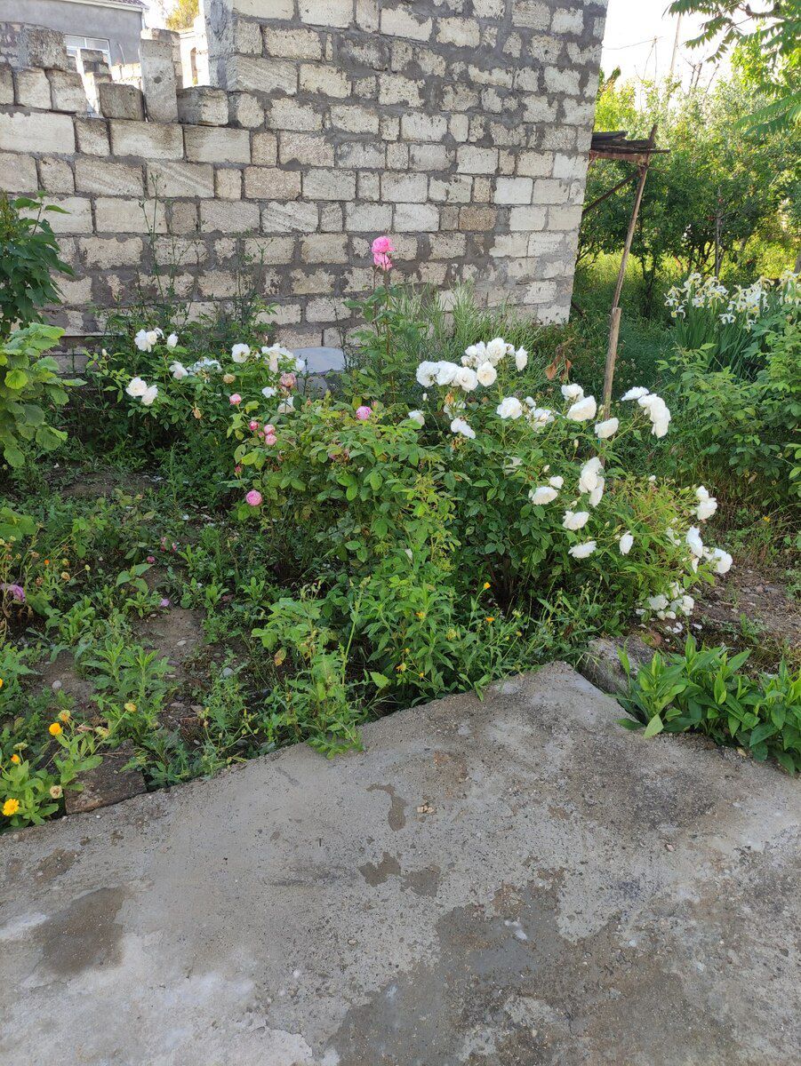 9 sot torpaq sahəsi, Mərdəkan qəs — Torpaq, Bakı (4)