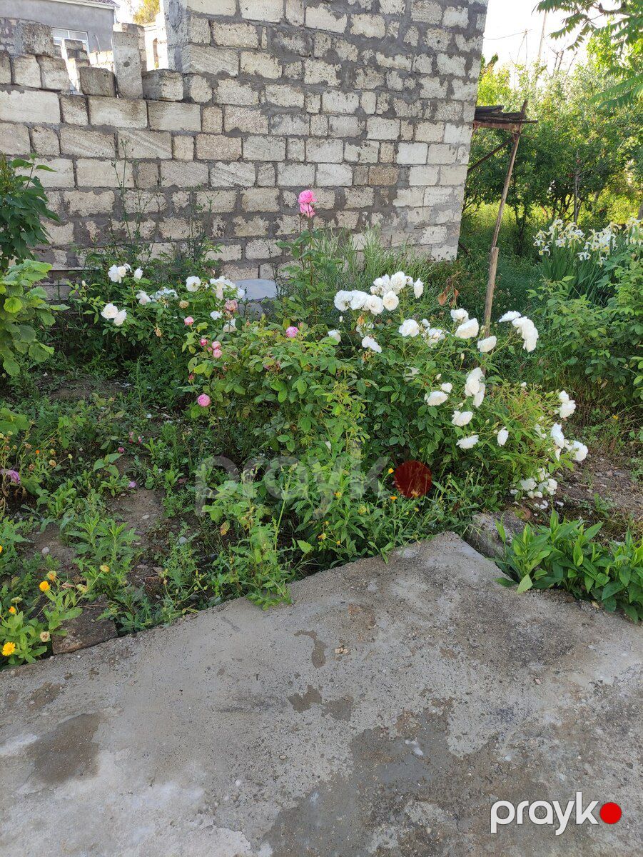 9 sot torpaq sahəsi, Mərdəkan qəs — Torpaq, Bakı (4)