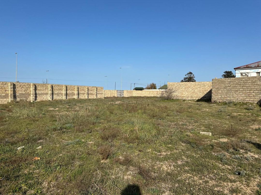 Satılır torpaq 31 sot — Torpaq, Bakı (7)