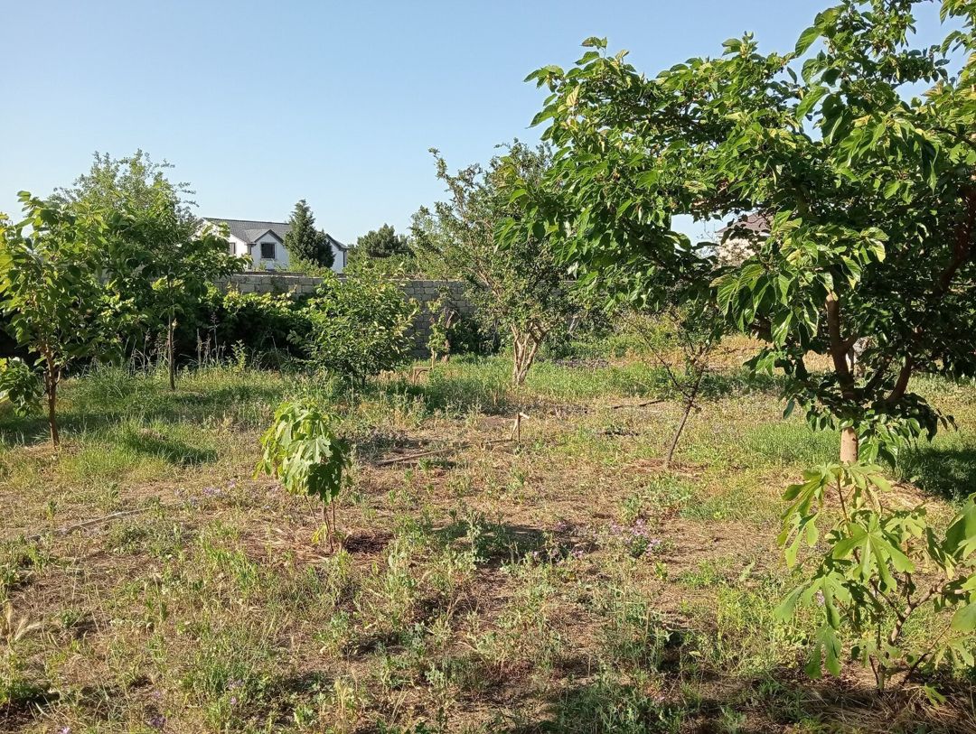 34 sot torpaq sahəsi, Novxanı qəs — Torpaq, Bakı (11)