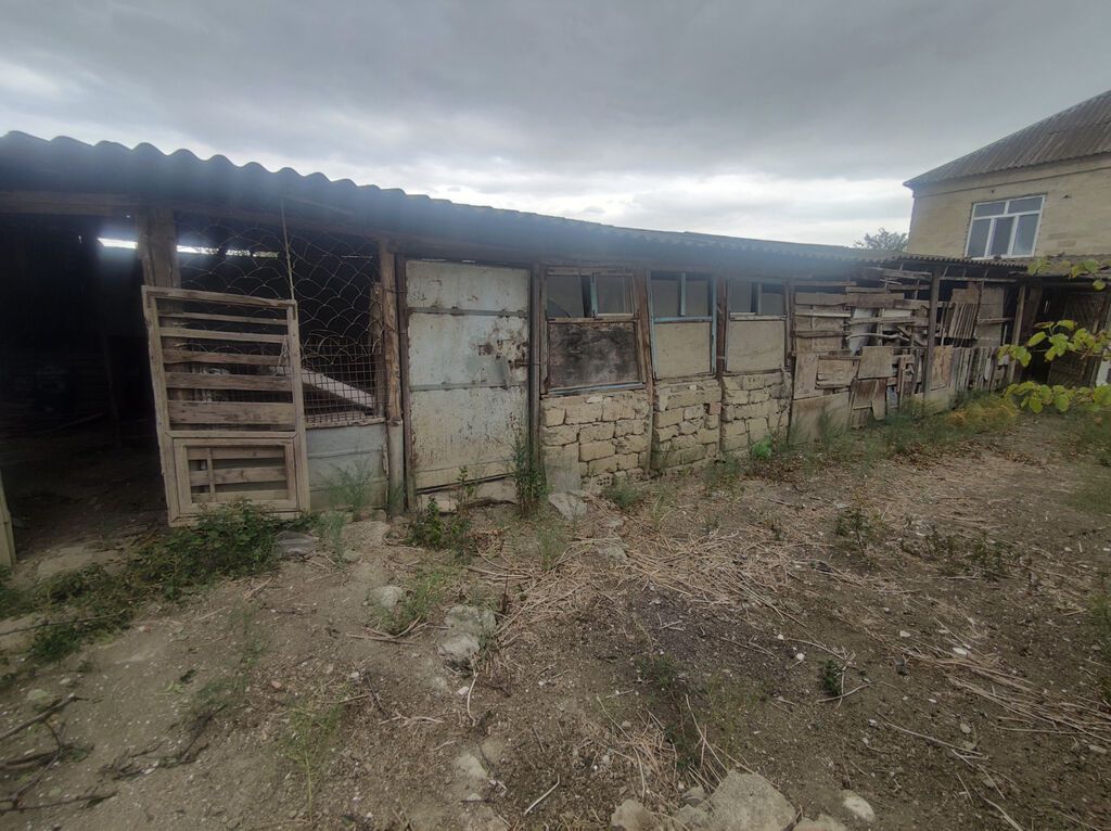 6 sot, Tikinti, Mülkiyyətçi, Kupça (Çıxarış) — Torpaq, Şirvan (5)