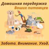Zoo hotel xidməti — Уход за животными, дрессировка