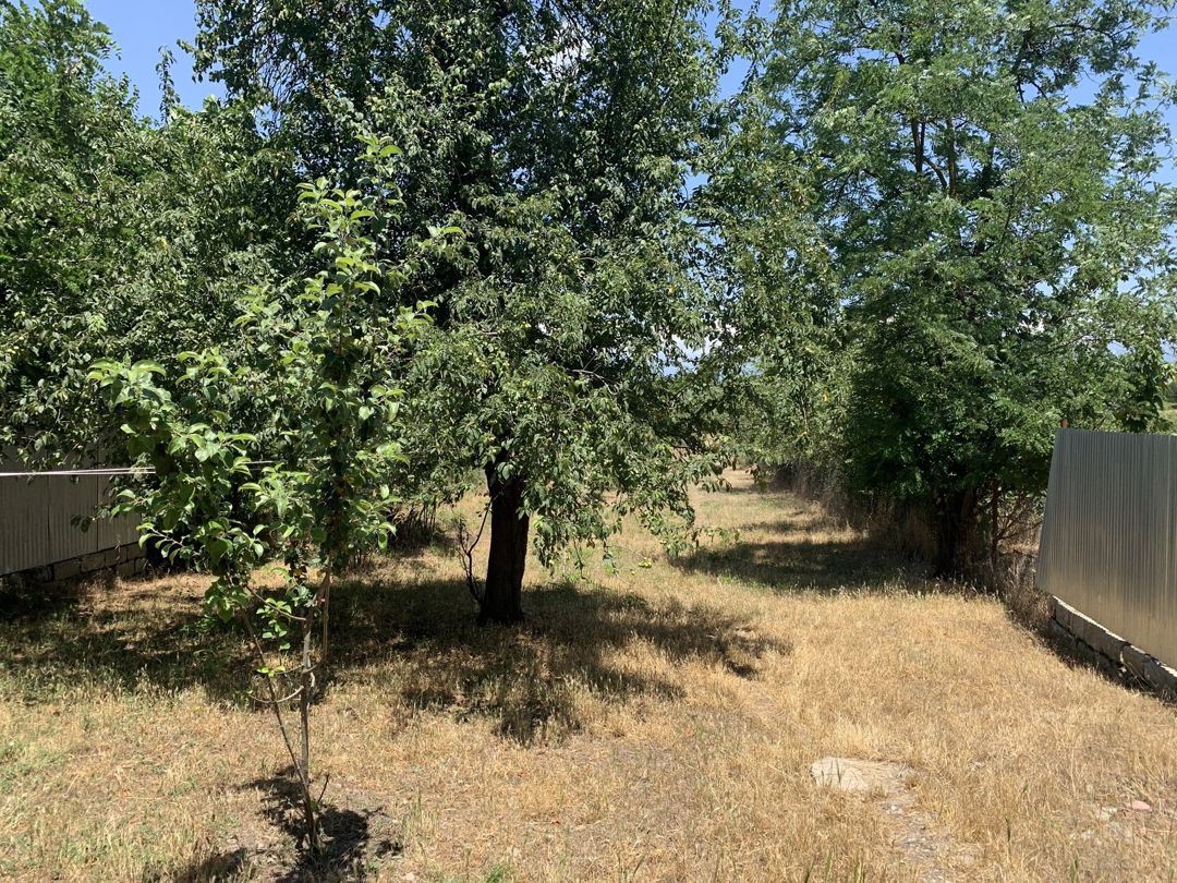 Satılır 4 otaqlı həyət evi/bağ evi 100 m² — Ev, villa, İsmayıllı (4)