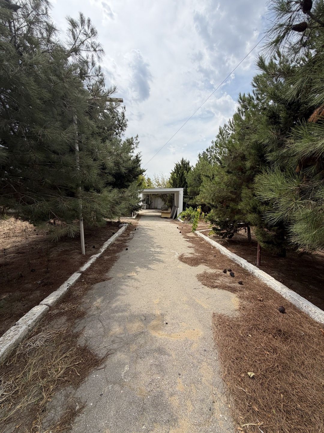 Satılır torpaq 10 sot — Torpaq, Bakı (3)