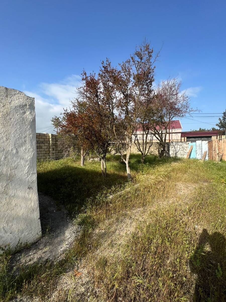 5 sot torpaq sahəsi, Pirşağı qəs — Torpaq, Bakı (2)