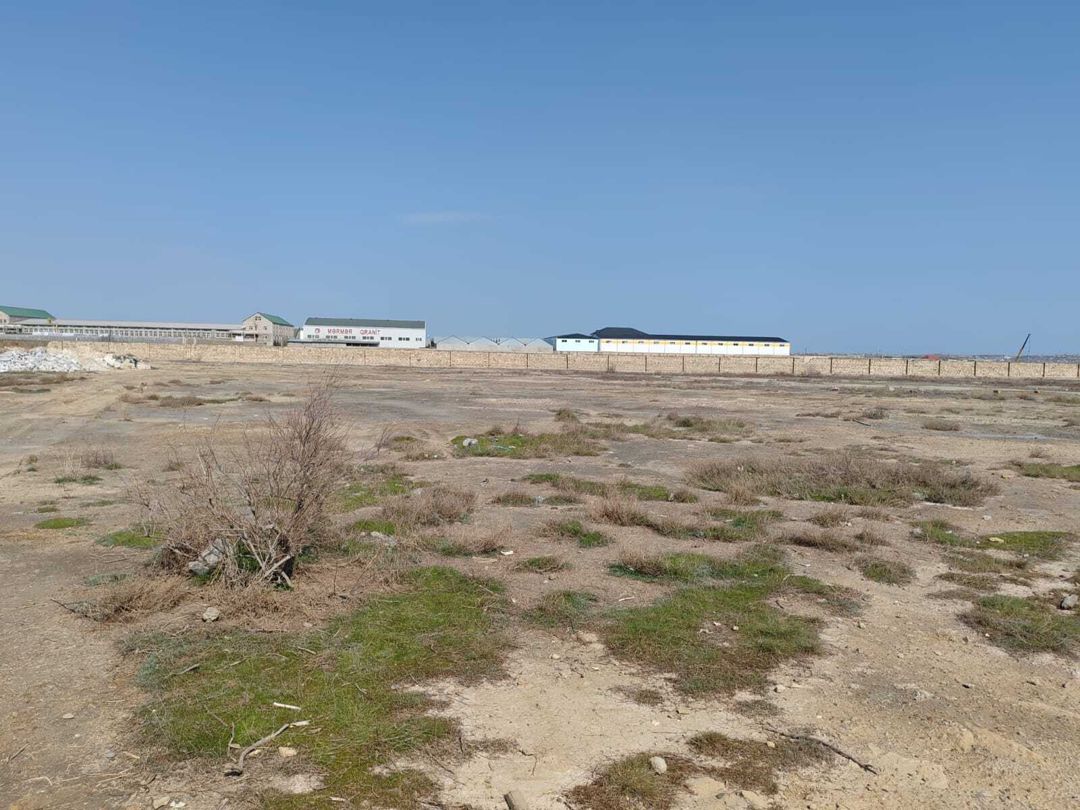 Satılır torpaq 250 sot — Torpaq, Bakı (8)