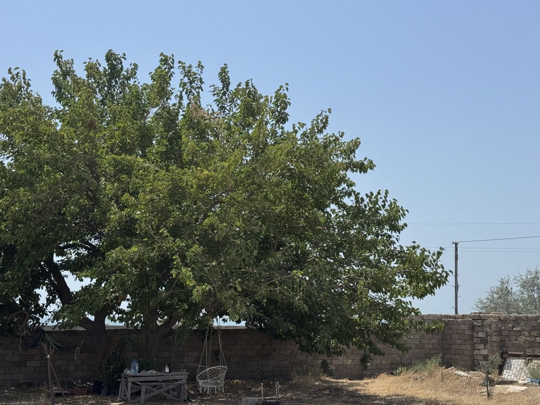 Satılır torpaq 7 sot — Torpaq, Bakı (7)