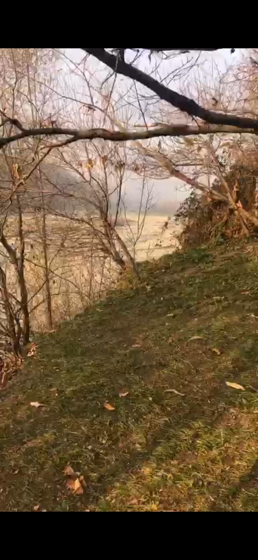 10 sot, Tikinti, Mülkiyyətçi, Kupça (Çıxarış) — Torpaq, Qəbələ (8)
