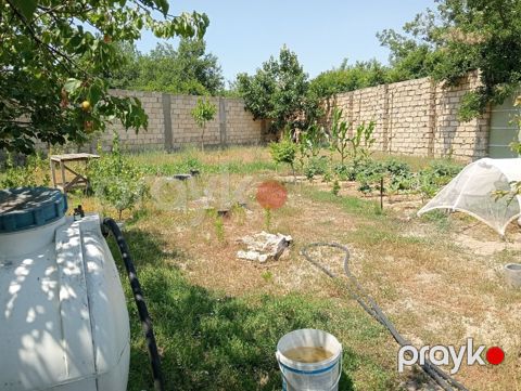 5.5 sot torpaq sahəsi, Novxanı qəs
