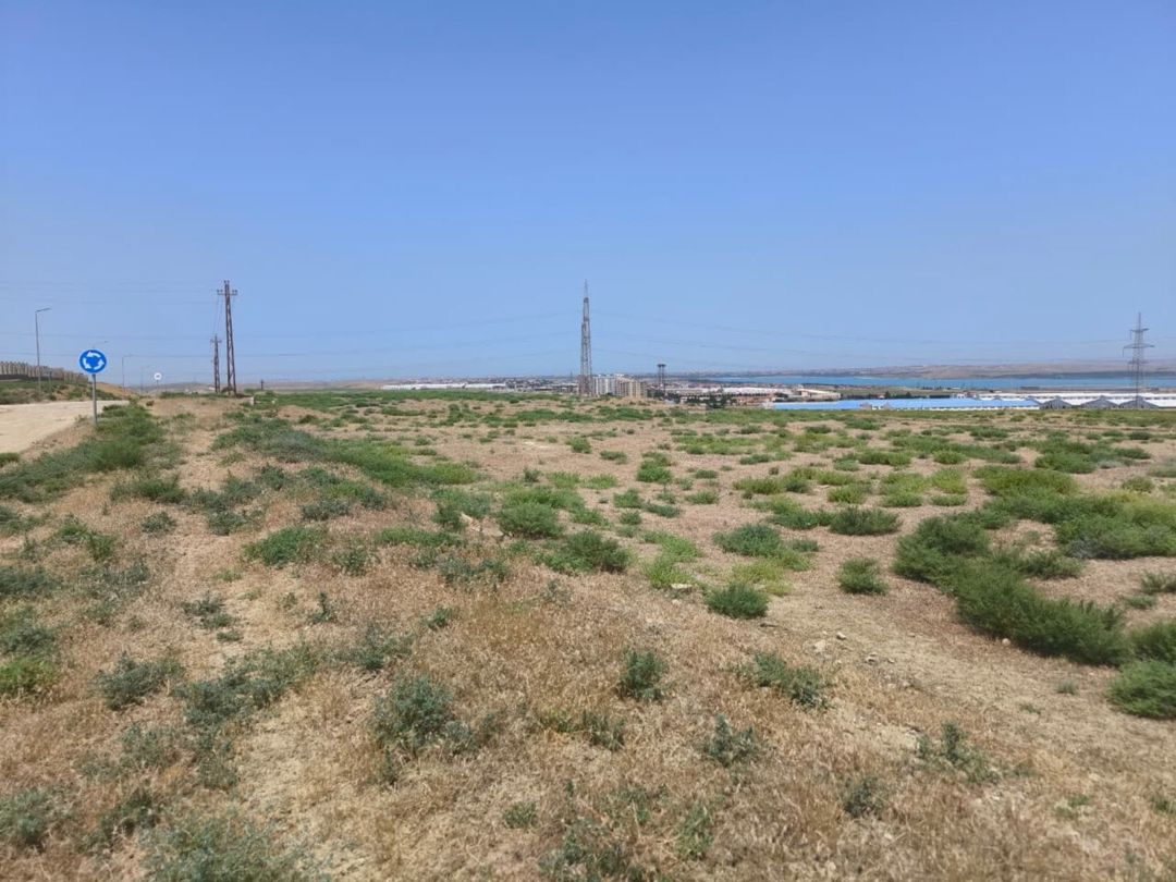 Satılır torpaq 780 sot — Torpaq, Bakı (2)