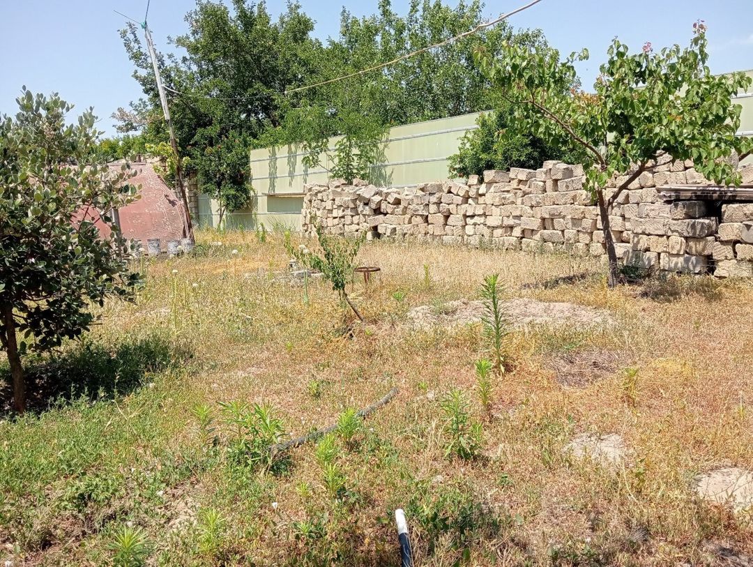 5.5 sot torpaq sahəsi, Novxanı qəs — Torpaq, Bakı (8)