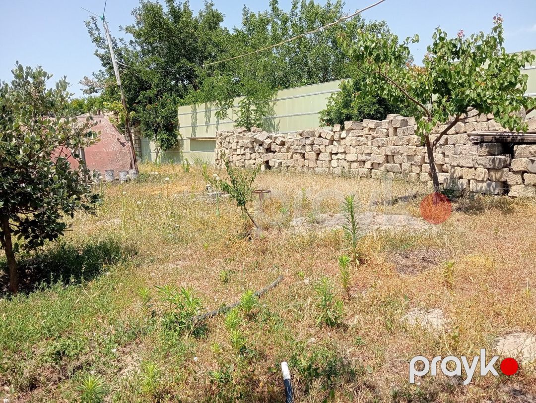 5.5 sot torpaq sahəsi, Novxanı qəs — Torpaq, Bakı (8)