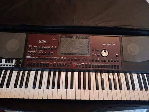 Sintezator, Korg, Yeni — Bərdə