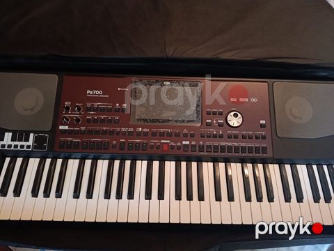 Sintezator, Korg, Yeni