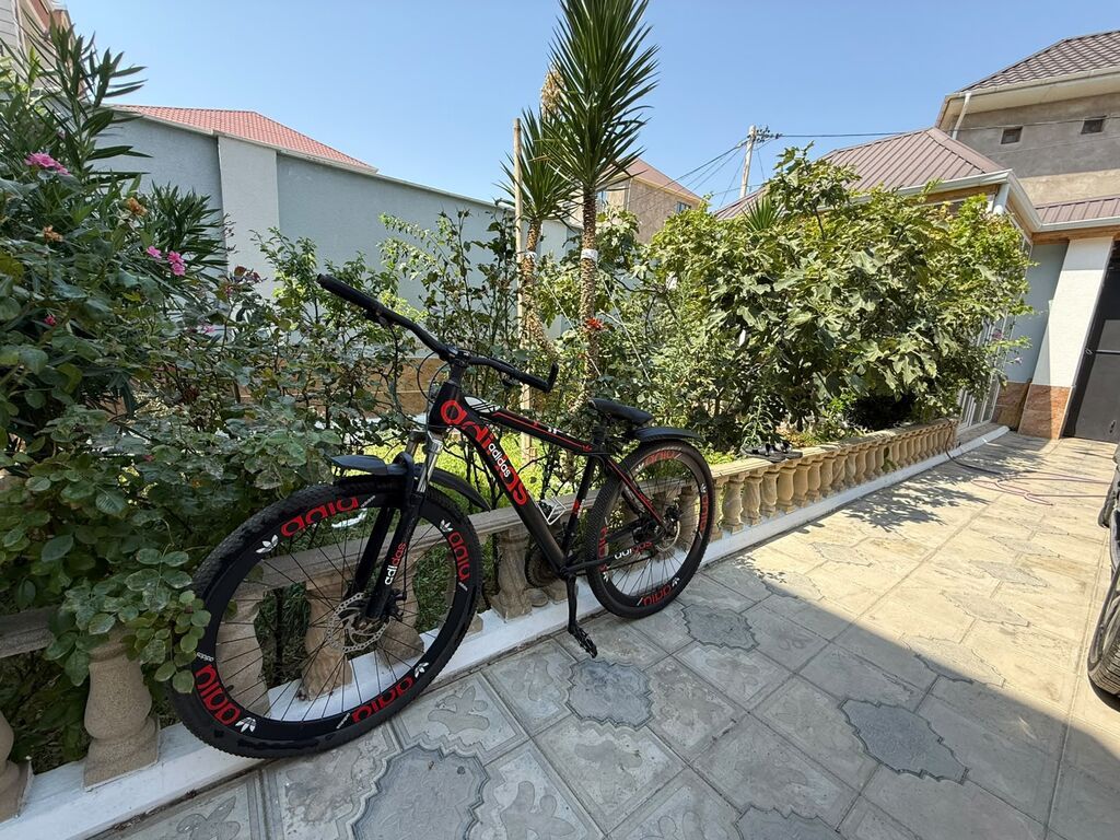 29 180-manat 24 150-manat — Dağ velosipedləri, Masazır (5)
