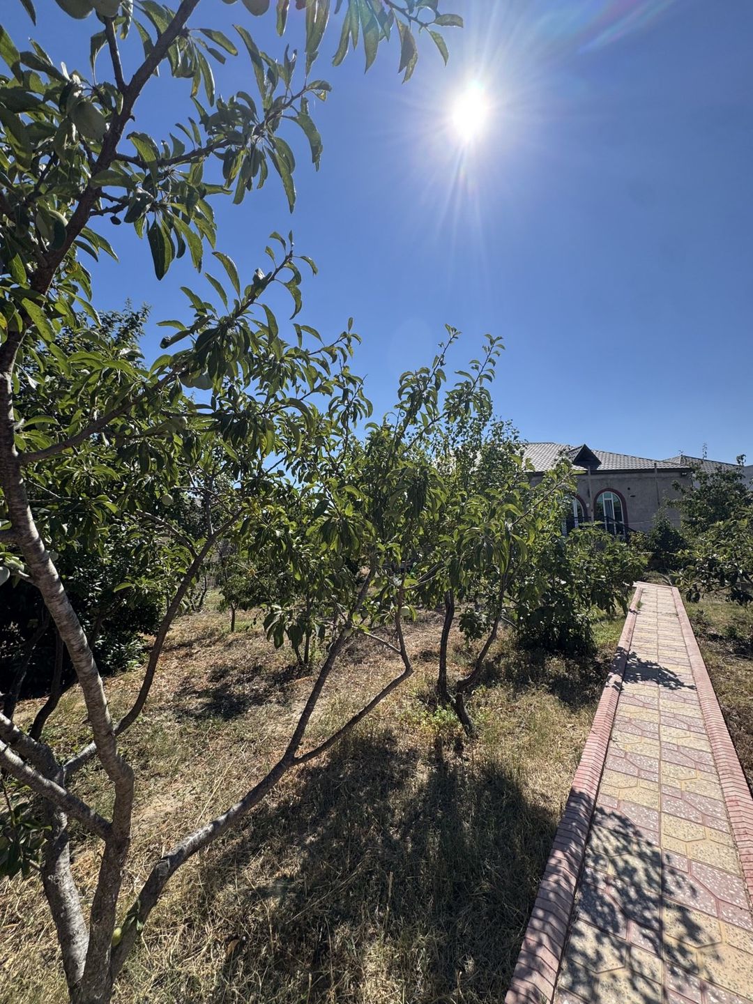 Satılır torpaq 12 sot — Torpaq, Bakı (6)