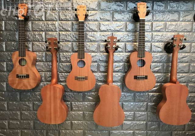 Ukulele — Musiqiə alətləri, Bakı (2)