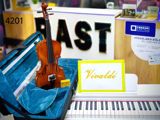Skripka "Vivaldi" HV-4201 — RAST Musiqi alətləri — Musical Instruments