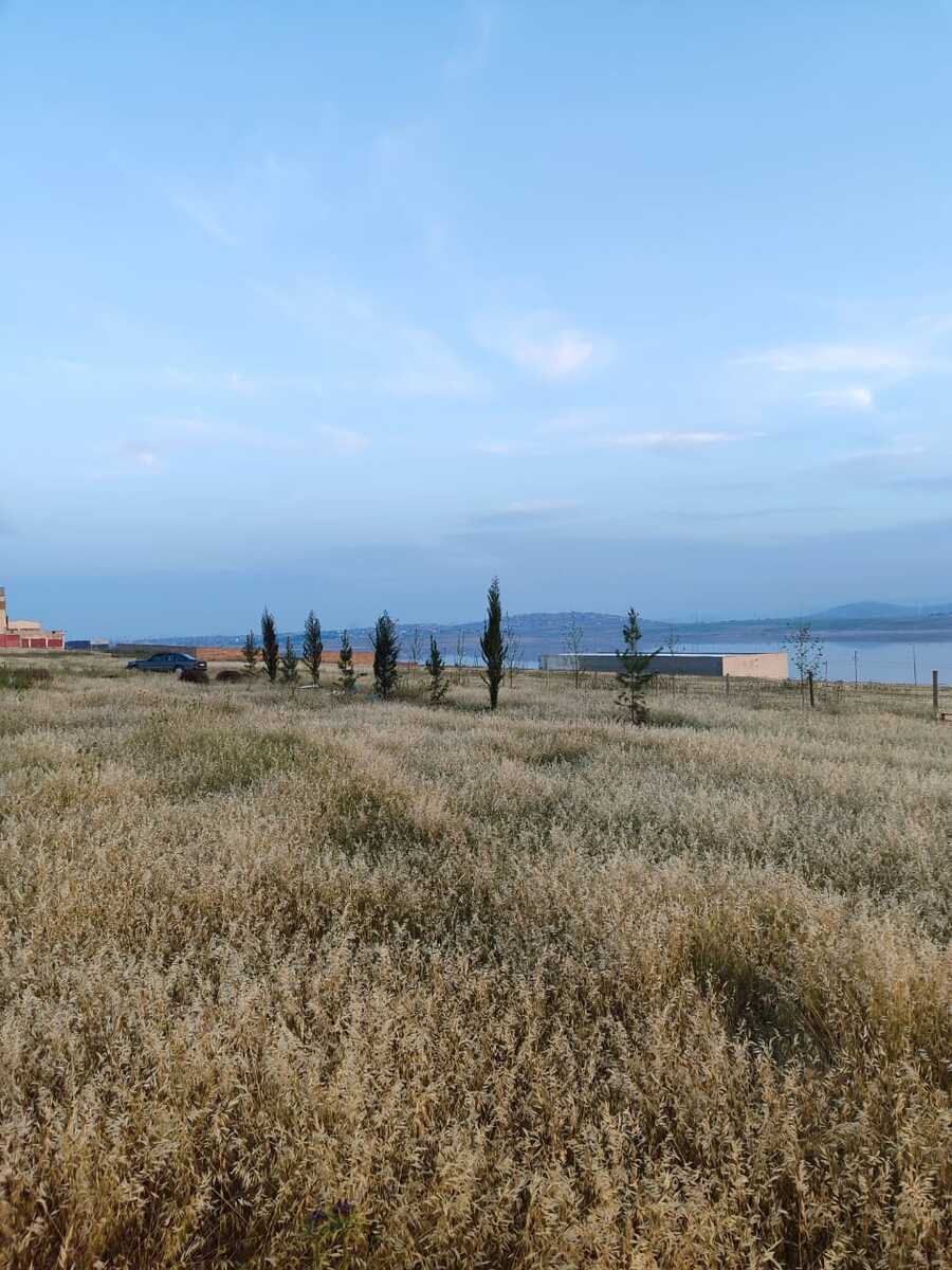 Satılır torpaq 4 sot — Torpaq, Bakı (5)