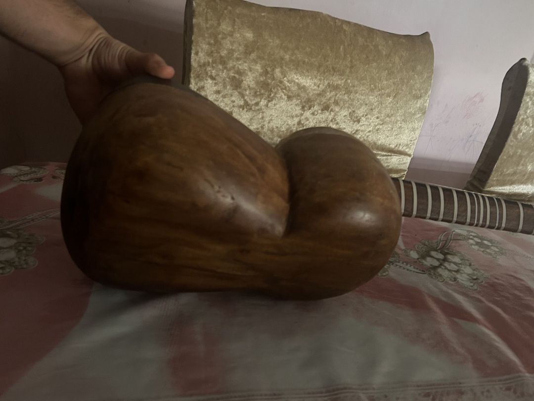 Tar — Musiqiə alətləri, Bakı (6)