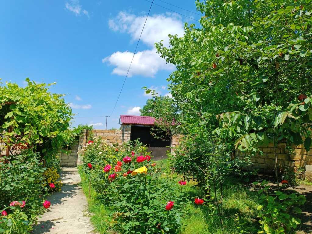 Bağ evi kirayə verilir, Cülyan k — Ev, villa, İsmayıllı (2)