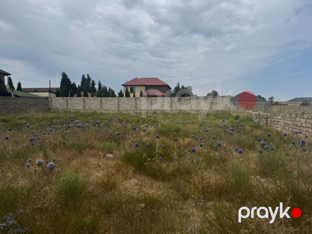 Satılır torpaq 14 sot — Torpaq, Bakı (4)