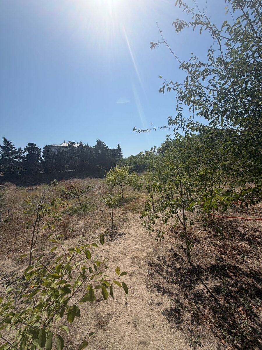 Satılır torpaq 21 sot — Torpaq, Bakı (4)