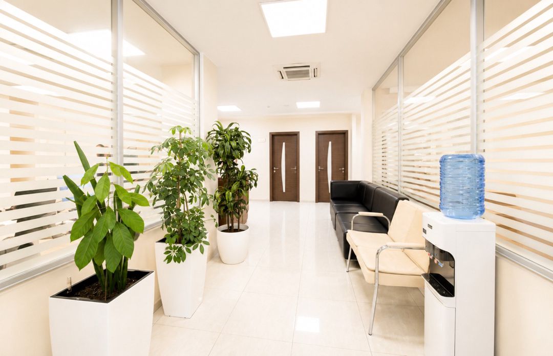 Satılır obyekt 725 m² — Əmlak, Bakı (2)