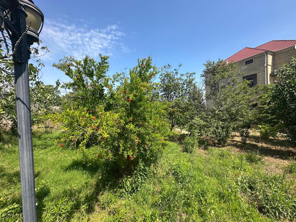 Satılır 10 otaqlı həyət evi/bağ evi 650 m² — Ev, villa, Bakı (4)