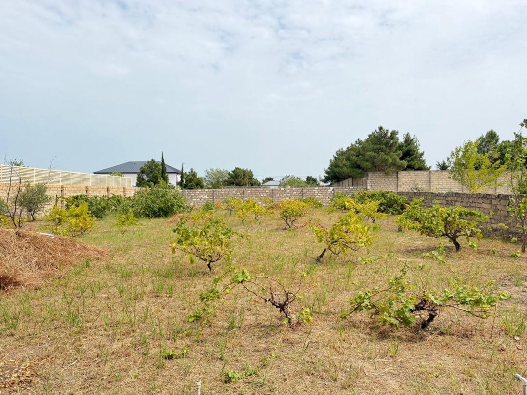 12 sot torpaq sahəsi, Nardaran qəs — Torpaq, Bakı (2)