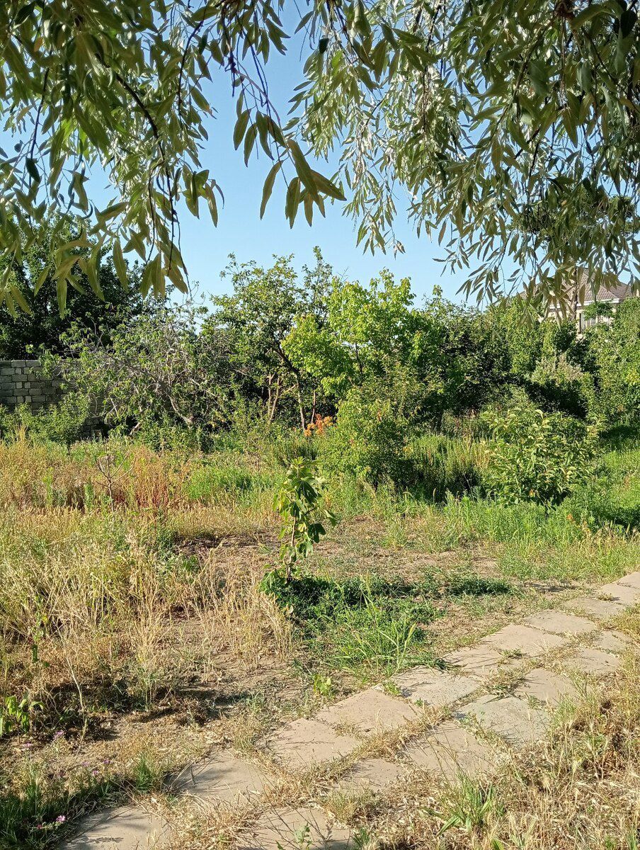 34 sot torpaq sahəsi, Novxanı qəs — Torpaq, Bakı (8)