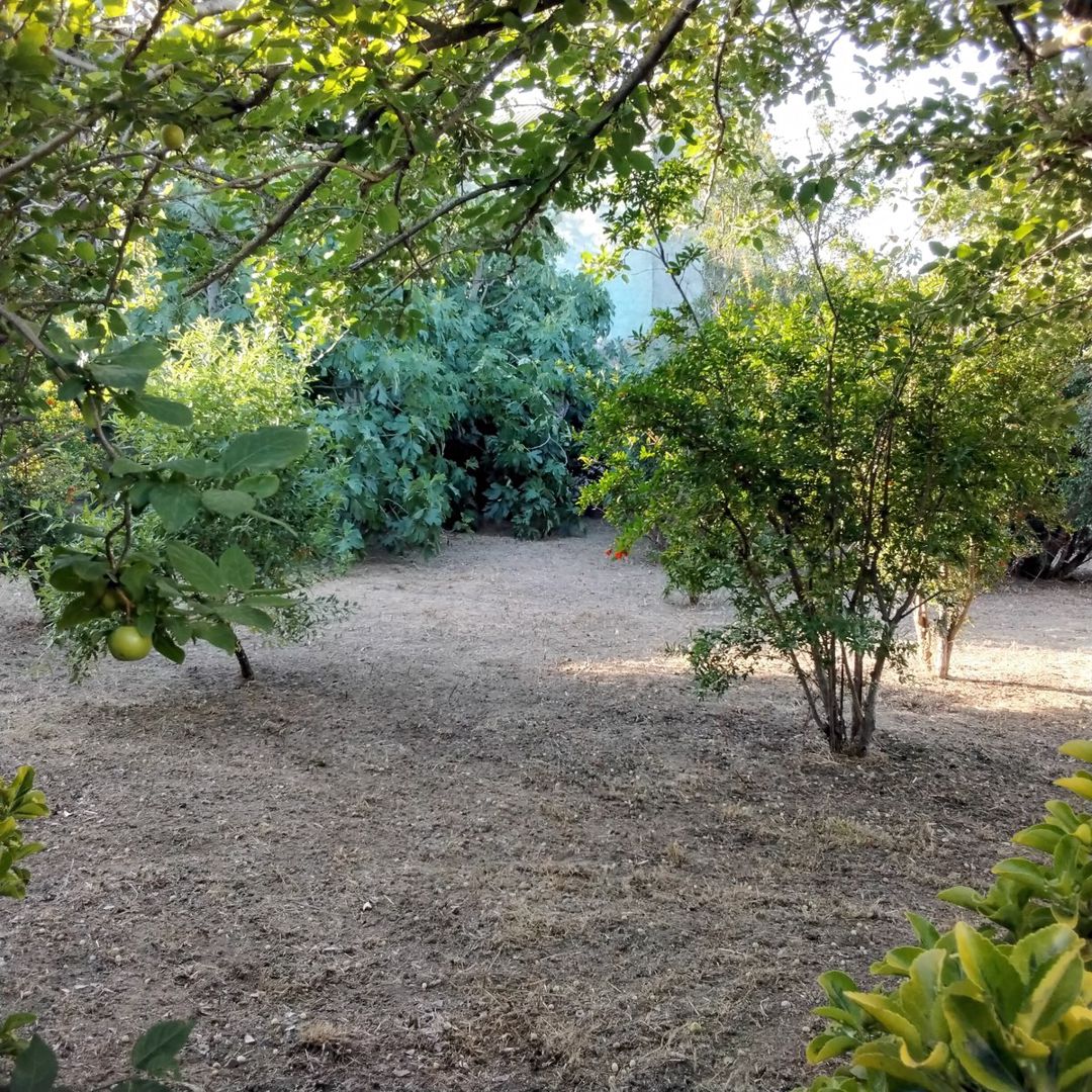Satılır 3 otaqlı həyət evi/bağ evi 65 m² — Ev, villa, Bakı (2)